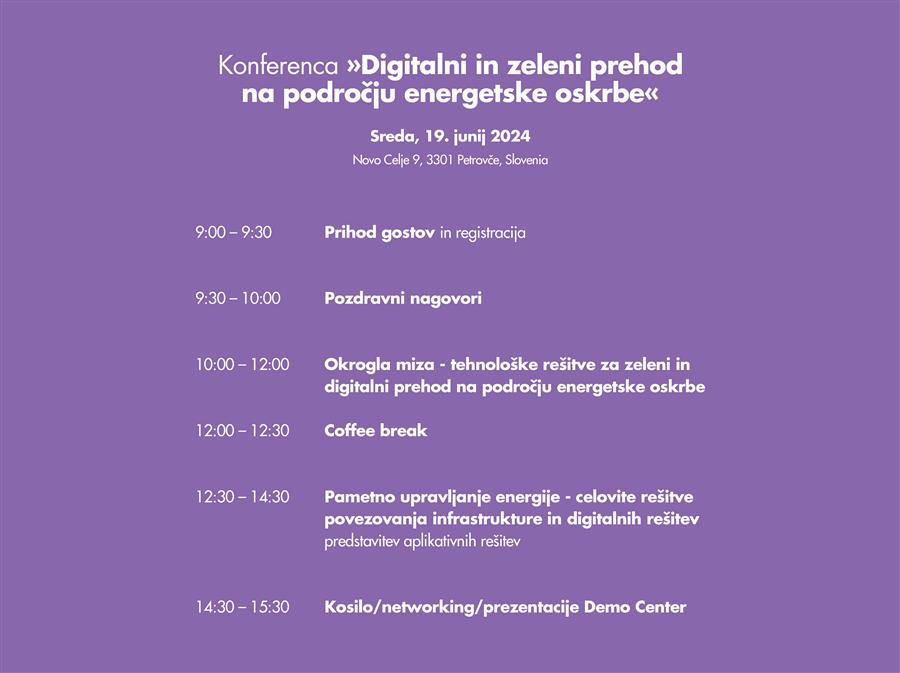 Business Forum: Digital and Green Transition in Energy Supply – 19 June 2024